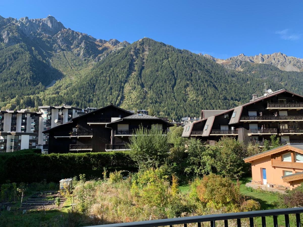 Residence Androsace Du Lyret Chamonix Ngoại thất bức ảnh